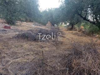 Αγροτεμάχια 960 τ.μ. για πώληση, Αχαΐα, Παραλία-thumb-3