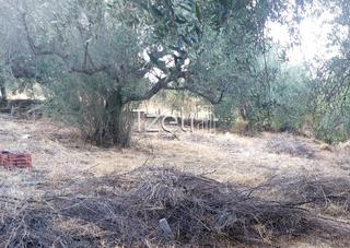 Αγροτεμάχια 960 τ.μ. για πώληση, Αχαΐα, Παραλία-thumb-4