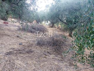 Αγροτεμάχια 960 τ.μ. για πώληση, Αχαΐα, Παραλία-thumb-6
