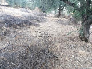 Αγροτεμάχια 960 τ.μ. για πώληση, Αχαΐα, Παραλία-thumb-8