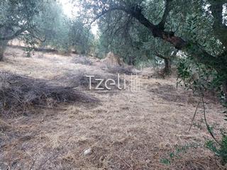 Αγροτεμάχια 960 τ.μ. για πώληση, Αχαΐα, Παραλία-thumb-9