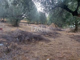 Αγροτεμάχια 960 τ.μ. για πώληση, Αχαΐα, Παραλία-thumb-21
