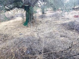 Αγροτεμάχια 960 τ.μ. για πώληση, Αχαΐα, Παραλία-thumb-23