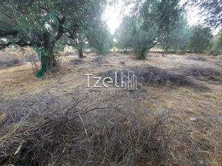 Αγροτεμάχια 960 τ.μ. για πώληση, Αχαΐα, Παραλία-thumb-25