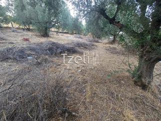 Αγροτεμάχια 960 τ.μ. για πώληση, Αχαΐα, Παραλία-thumb-26