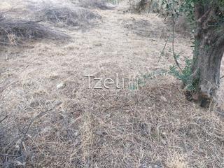 Αγροτεμάχια 960 τ.μ. για πώληση, Αχαΐα, Παραλία-thumb-29