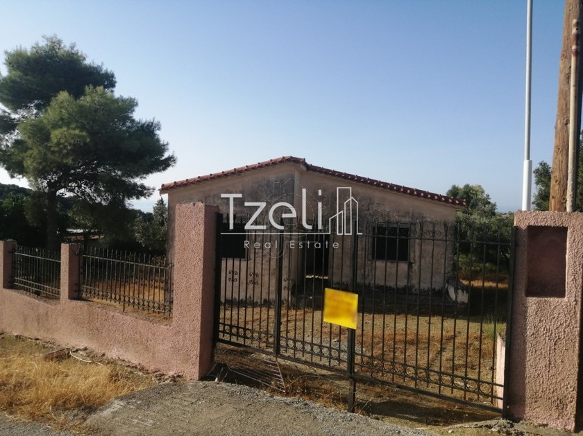 Land plot 730sqm for sale-Messatida » Ligies