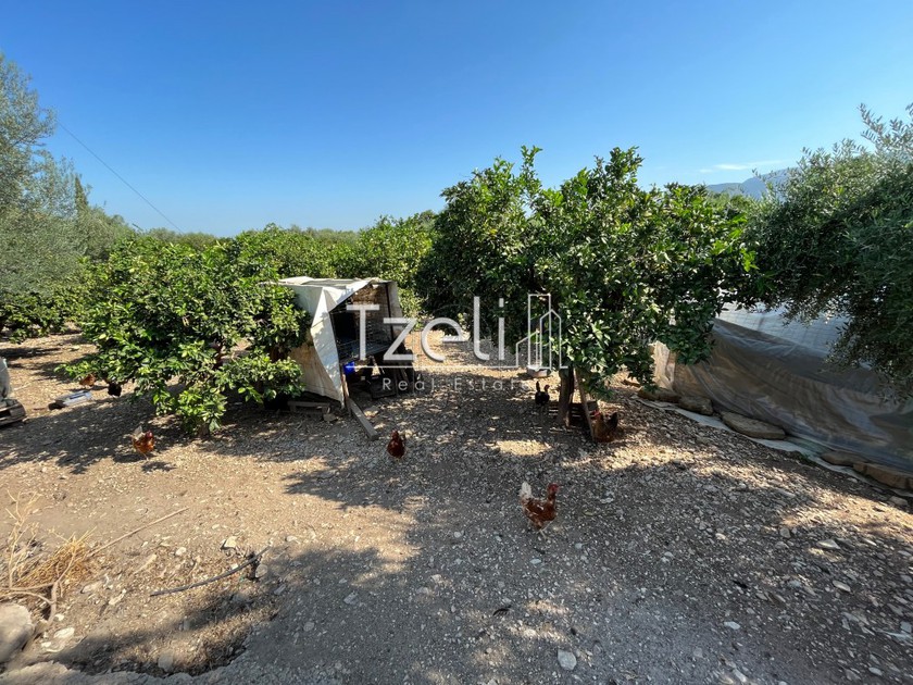 Land plot 1.215 sqm for sale