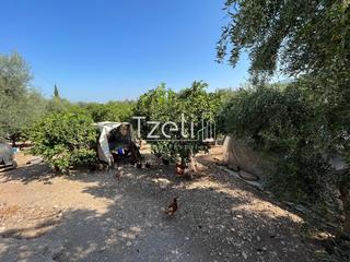 Οικόπεδο 1.215 τ.μ. για πώληση, Αχαΐα, Μεσσατίδα-thumb-4