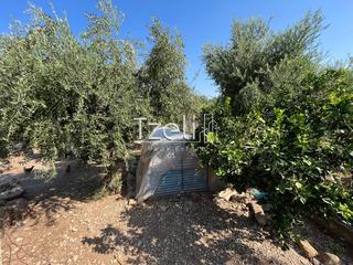 Οικόπεδο 1.215 τ.μ. για πώληση, Αχαΐα, Μεσσατίδα-thumb-5