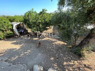 Οικόπεδο 1.215 τ.μ. για πώληση, Αχαΐα, Μεσσατίδα-thumb-8
