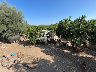 Οικόπεδο 1.215 τ.μ. για πώληση, Αχαΐα, Μεσσατίδα-thumb-10