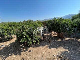 Οικόπεδο 1.215 τ.μ. για πώληση, Αχαΐα, Μεσσατίδα-thumb-12