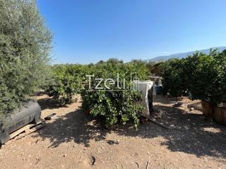 Οικόπεδο 1.215 τ.μ. για πώληση, Αχαΐα, Μεσσατίδα-thumb-15