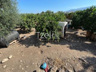 Οικόπεδο 1.215 τ.μ. για πώληση, Αχαΐα, Μεσσατίδα-thumb-18