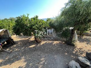 Οικόπεδο 1.215 τ.μ. για πώληση, Αχαΐα, Μεσσατίδα-thumb-24