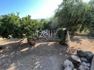 Οικόπεδο 1.215 τ.μ. για πώληση, Αχαΐα, Μεσσατίδα-thumb-25
