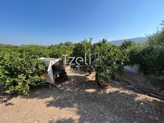Οικόπεδο 1.215 τ.μ. για πώληση, Αχαΐα, Μεσσατίδα-thumb-28