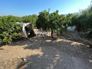 Οικόπεδο 1.215 τ.μ. για πώληση, Αχαΐα, Μεσσατίδα-thumb-31