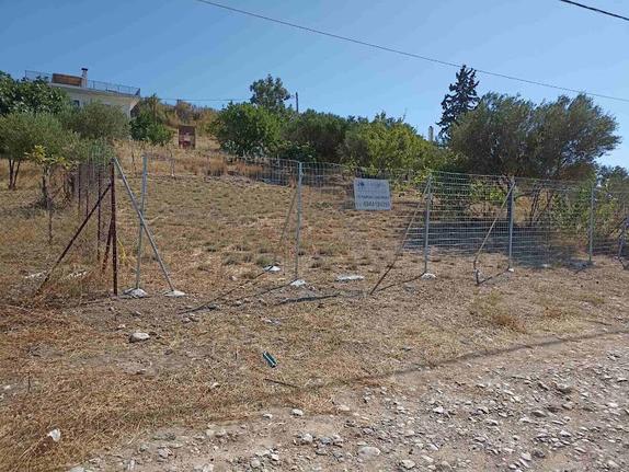 Parcel 230 sqm for sale, Athens - East, Artemida (loutsa)