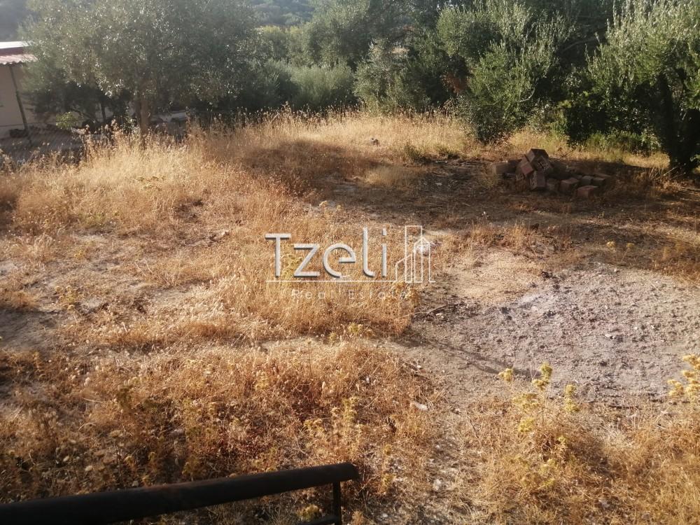 Μονοκατοικία 77 τ.μ. πρός πώληση, Αχαΐα, Μεσσατίδα