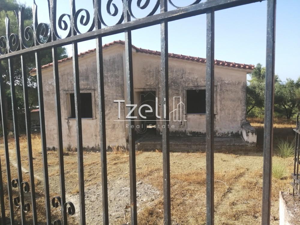 Μονοκατοικία 77 τ.μ. πρός πώληση, Αχαΐα, Μεσσατίδα