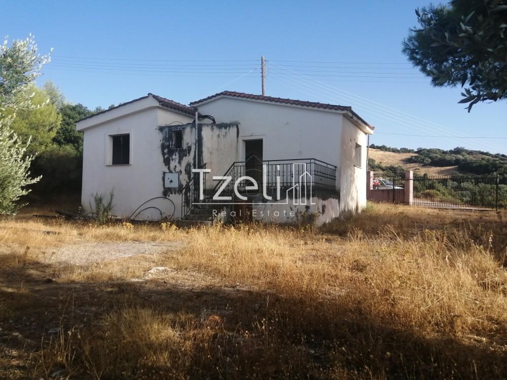 Μονοκατοικία 77 τ.μ. πρός πώληση, Αχαΐα, Μεσσατίδα