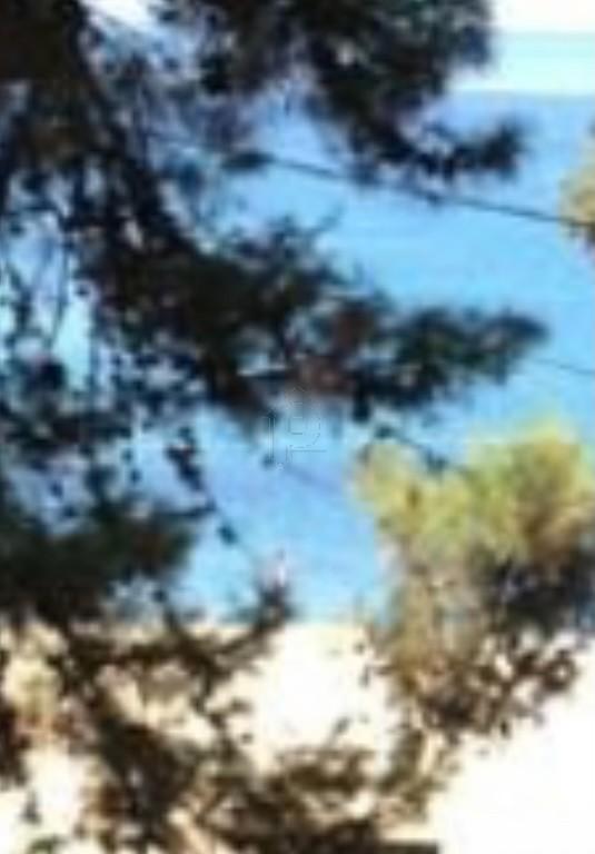 Οικόπεδο 24.000 τ.μ. προς πώληση, Κεφαλονιά
