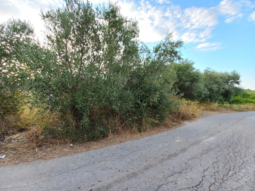 Land plot 800sqm for sale-Geropotamos » Aggeliana