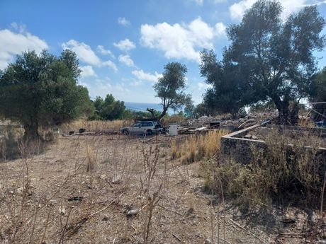 Parcel 2.000sqm for sale-Kefalonia » Argostoli