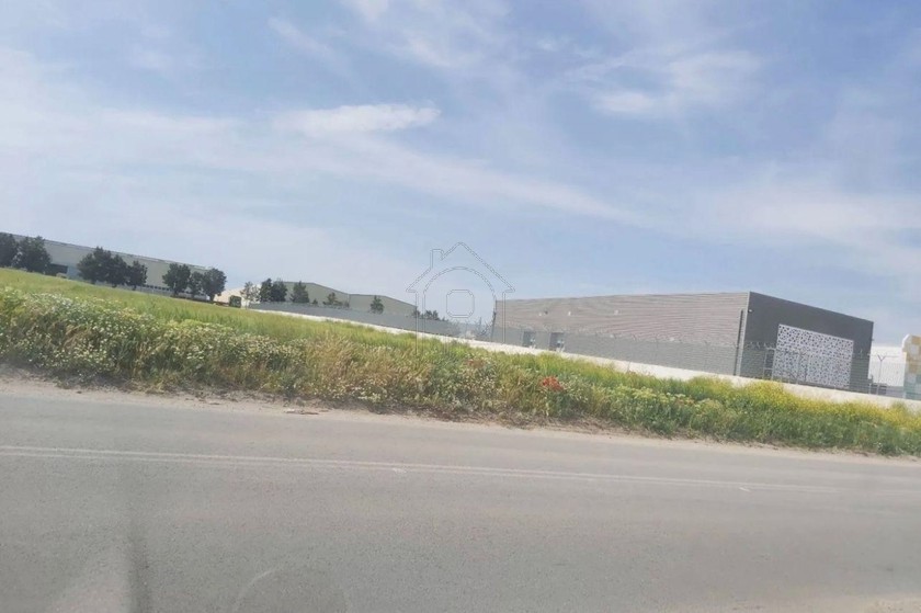 Αγροτεμάχια 12.000 τ.μ. για πώληση