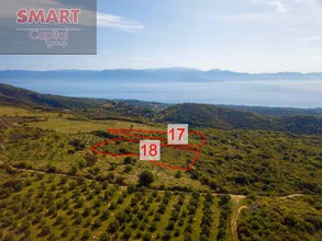Οικόπεδο 10.654τ.μ. για πώληση-Πεταλίδι » Κάστρο