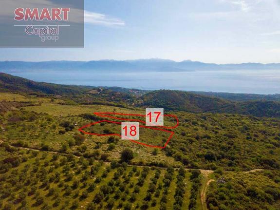 Land plot 10.654 sqm for sale, Messinia, Petalidi