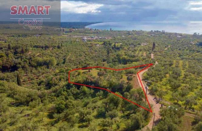 Land plot 5.248 sqm for sale, Messinia, Petalidi