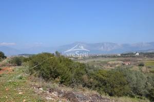 Οικόπεδο 1.005 τ.μ. για πώληση, Ν. Πρέβεζας, Πρέβεζα-thumb-10