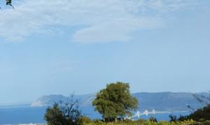 Parcel 4.000 sqm for sale