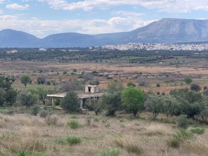 Αγροτεμάχια 6.500τ.μ. για πώληση-Σπάτα » Βελανιδιά