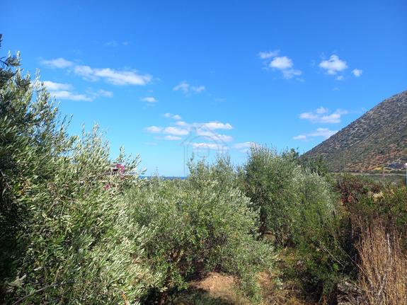 Οικόπεδο 1.673 τ.μ. για πώληση, Ν. Ρεθύμνου, Γεροπόταμος
