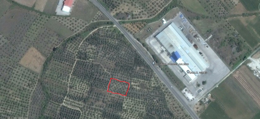 Αγροτεμάχια 1.980 τ.μ. για πώληση