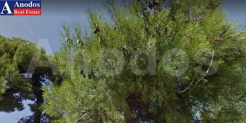 Οικόπεδο 434τ.μ. για πώληση-Πεντέλη » Κέντρο