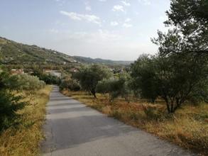Οικόπεδο 2.000 τ.μ. για πώληση
