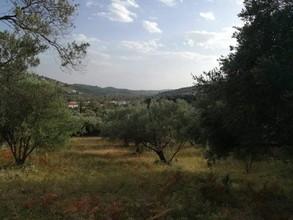 Οικόπεδο 2.000 τ.μ. για πώληση, Εύβοια, Κύμη-thumb-1