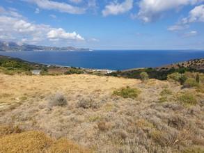 Αγροτεμάχια 4.330 τ.μ. προς πώληση, Κέντρο Αυλώνας-thumb-2