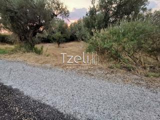 Οικόπεδο 620 τ.μ. για πώληση, Αχαΐα, Μεσσατίδα-thumb-30
