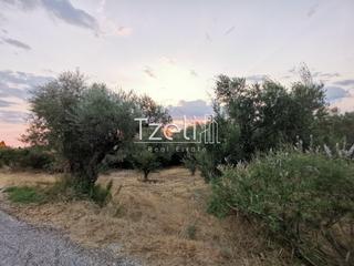 Οικόπεδο 620 τ.μ. για πώληση, Αχαΐα, Μεσσατίδα-thumb-31