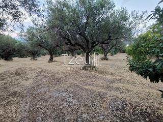 Οικόπεδο 620 τ.μ. για πώληση, Αχαΐα, Μεσσατίδα-thumb-4