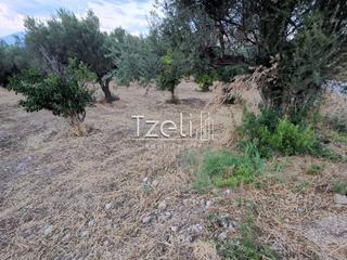 Οικόπεδο 620 τ.μ. για πώληση, Αχαΐα, Μεσσατίδα-thumb-5