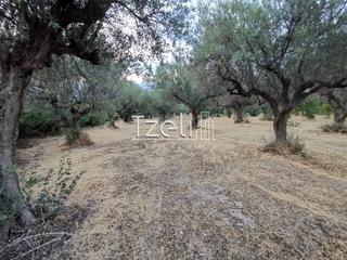 Οικόπεδο 620 τ.μ. για πώληση, Αχαΐα, Μεσσατίδα-thumb-6