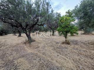 Οικόπεδο 620 τ.μ. για πώληση, Αχαΐα, Μεσσατίδα-thumb-8