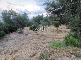 Οικόπεδο 620 τ.μ. για πώληση, Αχαΐα, Μεσσατίδα-thumb-9